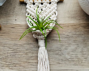 Mini Macrame Air Plant Hanger: Boho Home Decor w/ Artificial Plant, Gifts under 20