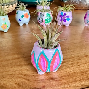 May include: A collection of small, hand-painted ceramic pots, each with a unique design and filled with air plants. The pots are in various pastel colors, including lavender, blue, and mint green, with floral and abstract patterns. The pots are approximately 2 inches in diameter.
