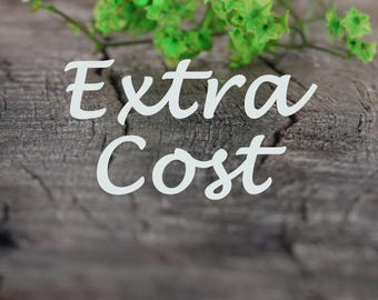 Extra cost for shipping fee