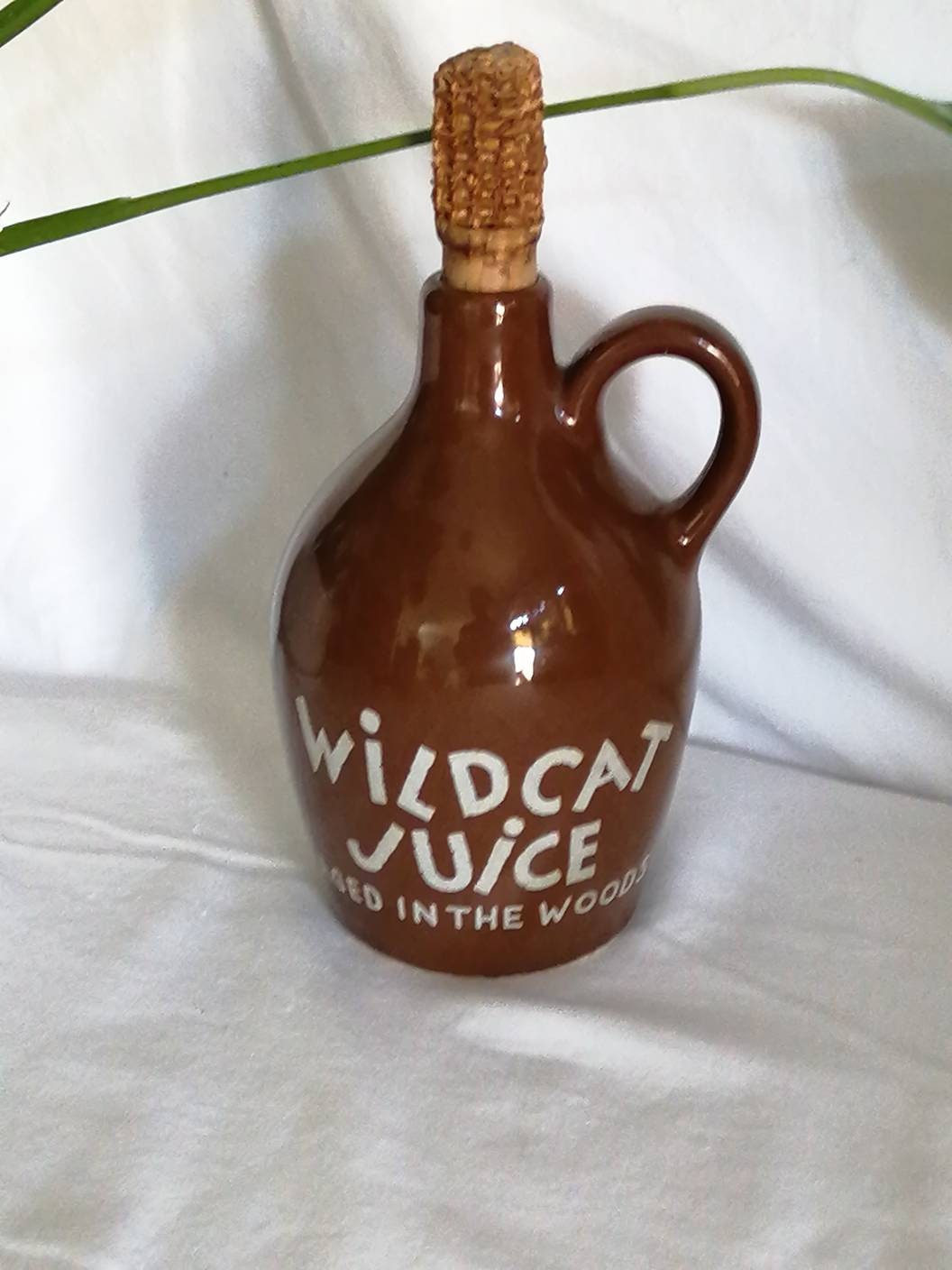 Wildcat Juice - Etsy