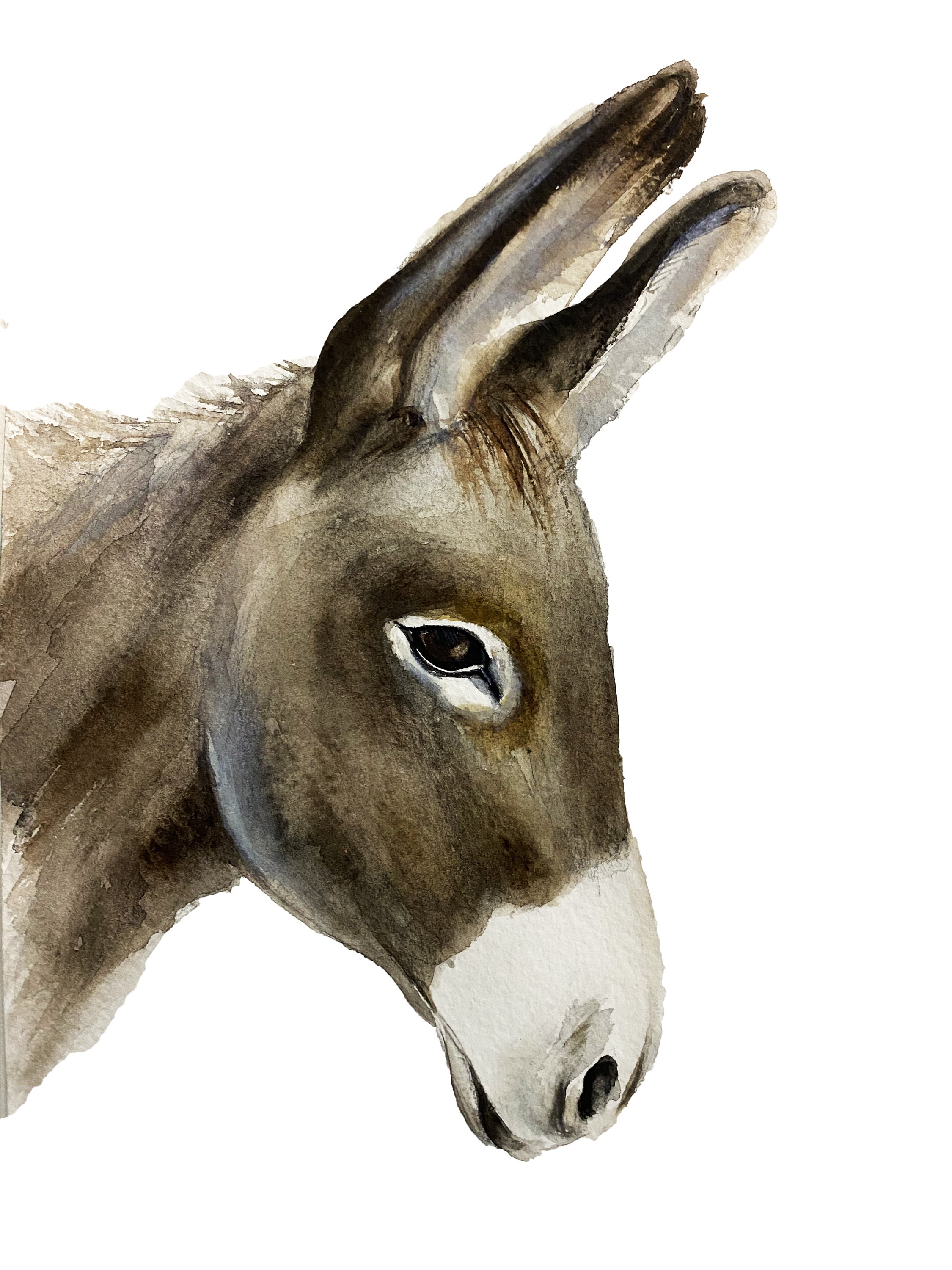 Bild Esel Gemalt: Unleashing the Artistic Spirit Within