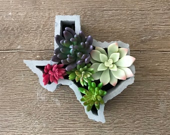 Texas Shaped Succulent Planter - Homegrown Planter - TX Planter - State-shaped Planter