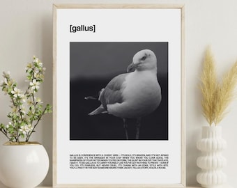 Scots Photo Definitions