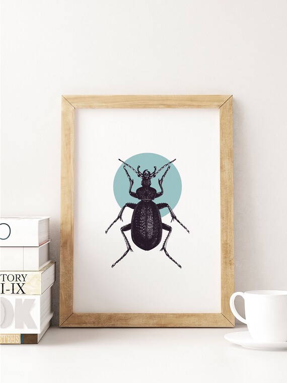 Beetle decorations cheap