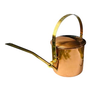 Regadera portuguesa vintage de cobre y latón, estilo moderno de mediados de siglo, elegante, pequeña, ideal para plantas de interior, suculentas y cocina.
