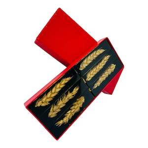 Poggiacoltelli vintage francesi, grano in lucite, decorazioni per la tavola del raccolto, poggiaposate, set da 6, sala da pranzo vintage, arredamento rustico, metà secolo