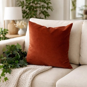 May include: A square, rust-colored velvet pillow rests on a cream-colored sofa. The pillow has a soft, plush appearance and is positioned against the backrest. A knitted throw and a potted plant with green leaves are in the foreground.