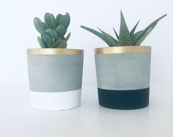 Amazing DIY Kit for a Couple  - Concrete Flowerpots