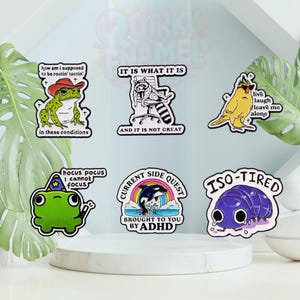 May include: A selection of quirky enamel pins with amusing phrases and illustrations. The pins depict a frog in a cowboy hat, a raccoon at a desk, a yellow bird, a frog with a wizard hat, a whale, and a purple pill bug. Each pin has a unique design and text.