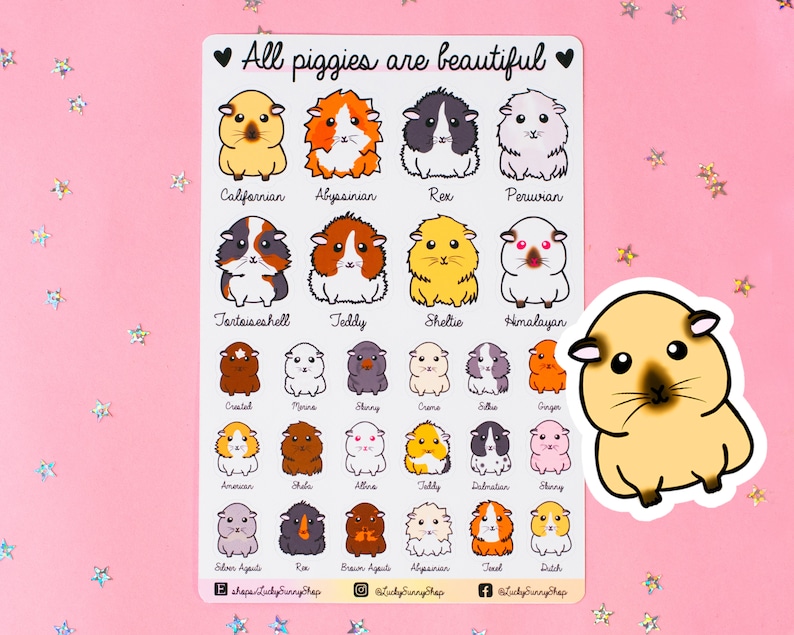 Guinea Pig Breeds Sticker Sheet kawaii guinea pig breed | Etsy