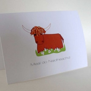 Schottisch-Gälische 'Congratulations' Highland Kuh Grußkarte