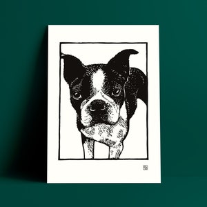 Carte A5 chien boston terrier