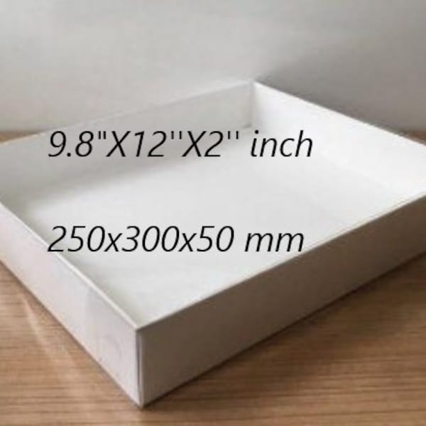 folding disassembled box 9.8" X 12'' X2'' inch sizes 10 pcs transparent lid  gift Box Ideas, Bulk Favors, Thank You Gift, Gift For Guest