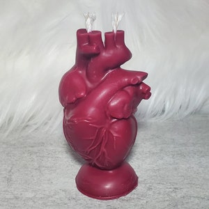 Anatomical Heart Shaped Candle: Custom scent and color, Soy wax. Gothic, alternative, witchcraft candle.