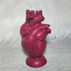 Anatomical Heart Shaped Candle: Custom scent and color, Soy wax. Gothic, alternative, witchcraft candle.