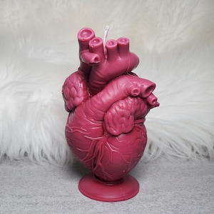 BIG Anatomical Heart Shaped Candle: Custom scent and color, Soy wax. Gothic, alternative, witchcraft candle.