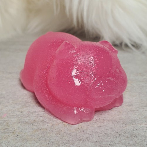 Large Jelly Frog Shaped Soap Custom Scent and Color. Etsy