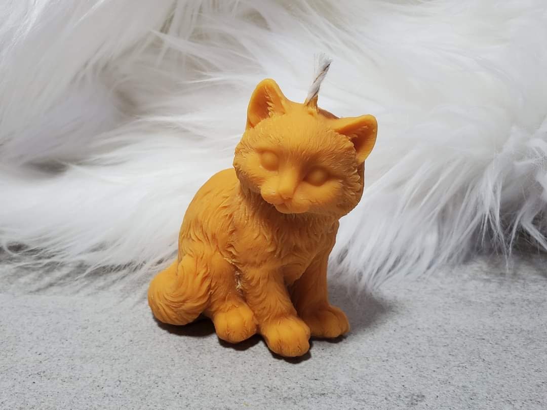 Кошка на воске