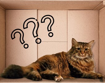 All Cat Mystery Box, candles, soap, wax melts and more.