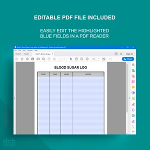 May include: A screenshot of a computer screen showing a blood sugar log spreadsheet. The spreadsheet has columns for date, time, level, and notes. The spreadsheet is in a PDF format and can be edited in a PDF reader.