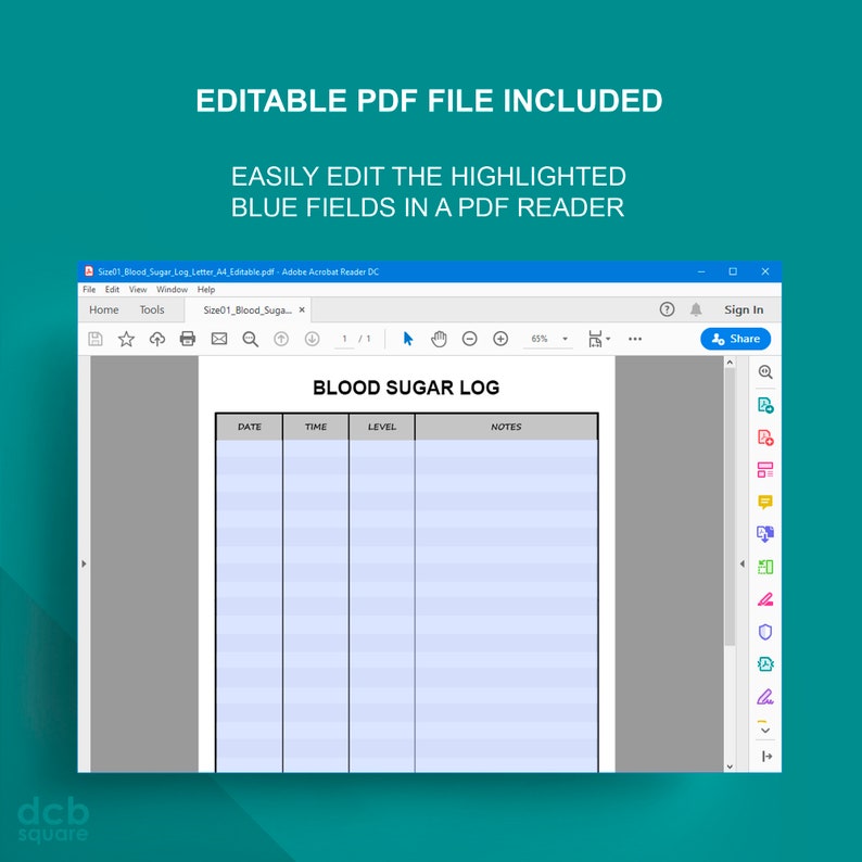 May include: A screenshot of a computer screen showing a blood sugar log spreadsheet. The spreadsheet has columns for date, time, level, and notes. The spreadsheet is in a PDF format and can be edited in a PDF reader.