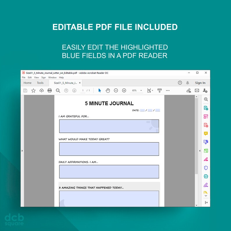 May include: A screenshot of a PDF document open in Adobe Acrobat Reader. The document is a 5-minute journal with fields for writing about gratitude, what would make today great, daily affirmations, and three amazing things that happened today. The fields are highlighted in blue.