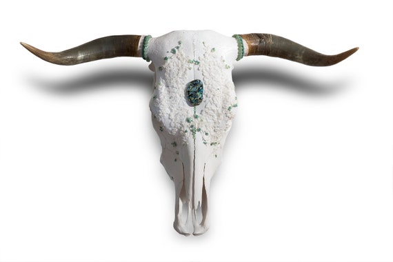 Real Cow Skull Animal Head Wall Wall Decoration Object Boho Etsy