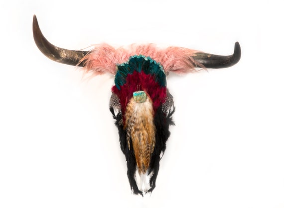 Real Cow Skull Animal Head Wall Wall Decoration Object Boho Etsy