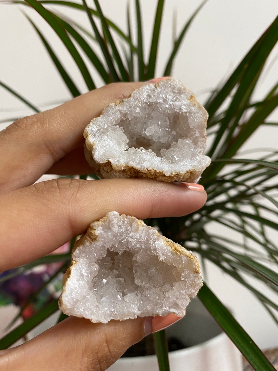Geode of Quartz break Your Own Moroccan Crystal Quartz Etsy
