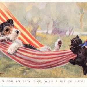 Florence E Valter Em busca de momentos fáceis, Cachorro e Gatinho em uma Rede, Cartão postal de Dia dos Namorados de 1934