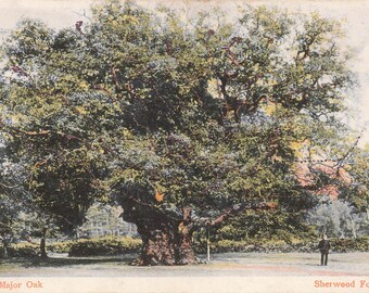 Sherwood Forest The Major Oak Robin Hood, begin 1900, met toegevoegde glitterdetails