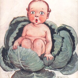 Carte postale Katherine GASSAWAY. Un petit bébé végétarien dans un chou 1908 vintage Tucks