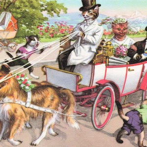 Postal antigua de Alfred Mainzer Comic Cats: novios en un carruaje tirado por perros