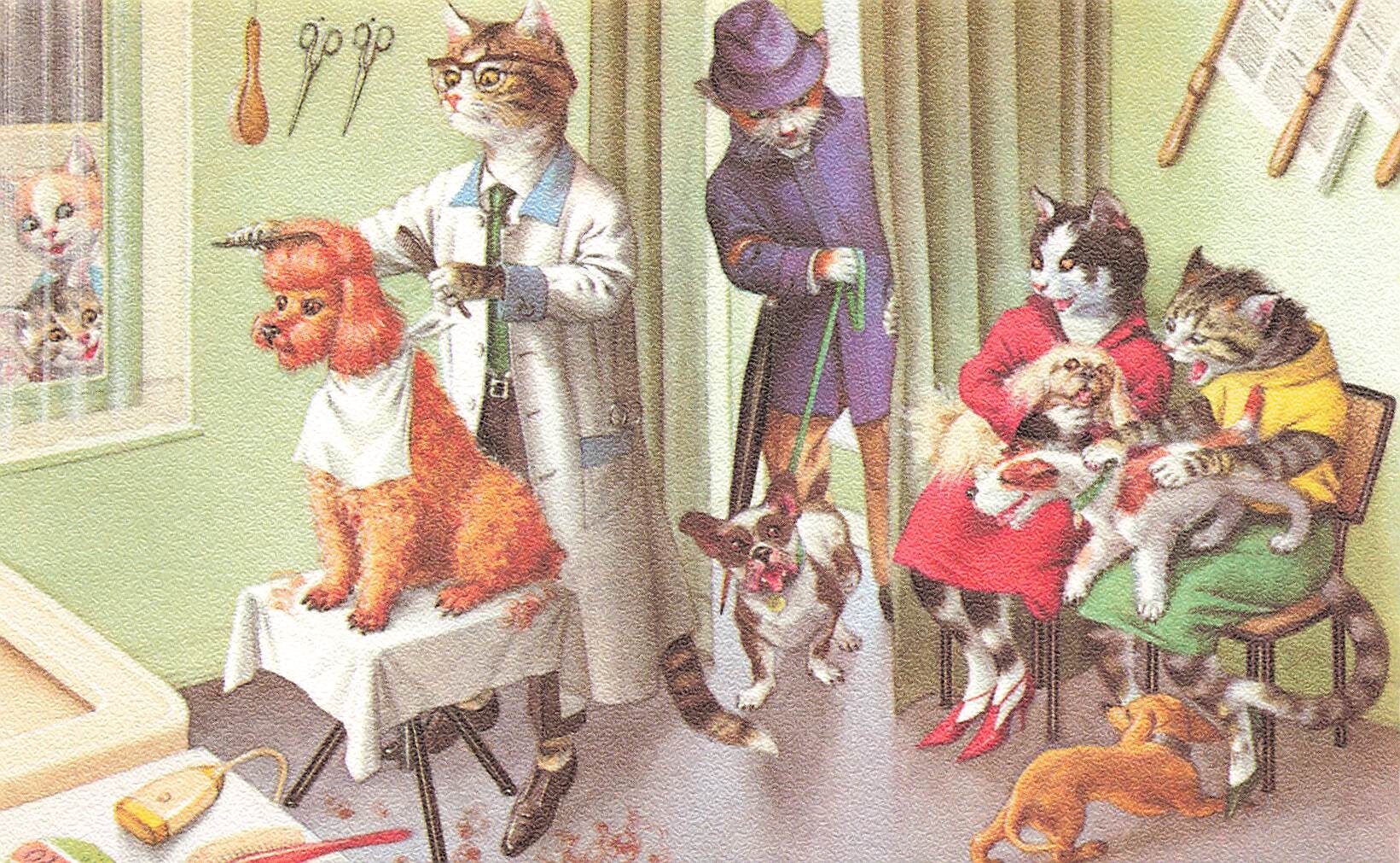Mainzer Cats Artist Eugene Hartung Cats at a Dog Grooming Etsy UK