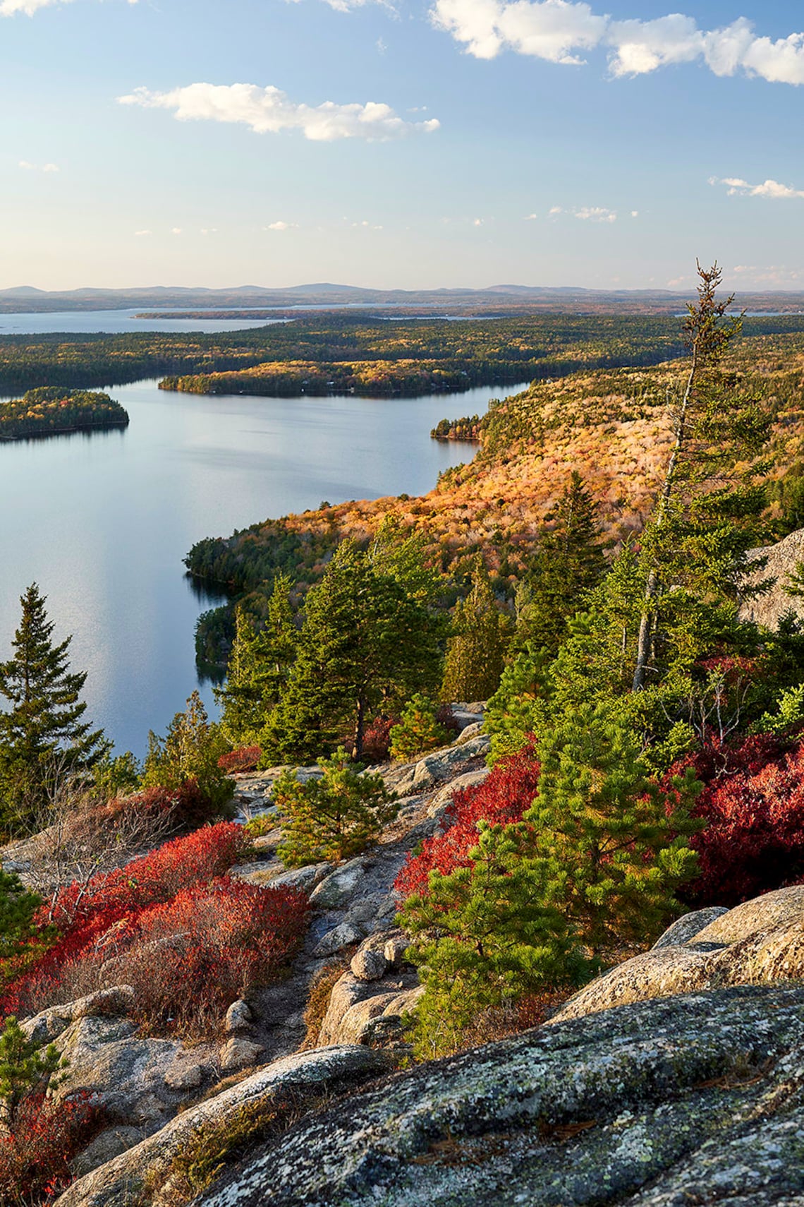 Acadia National Park Photography Fall Foliage Fall Colors Etsy France