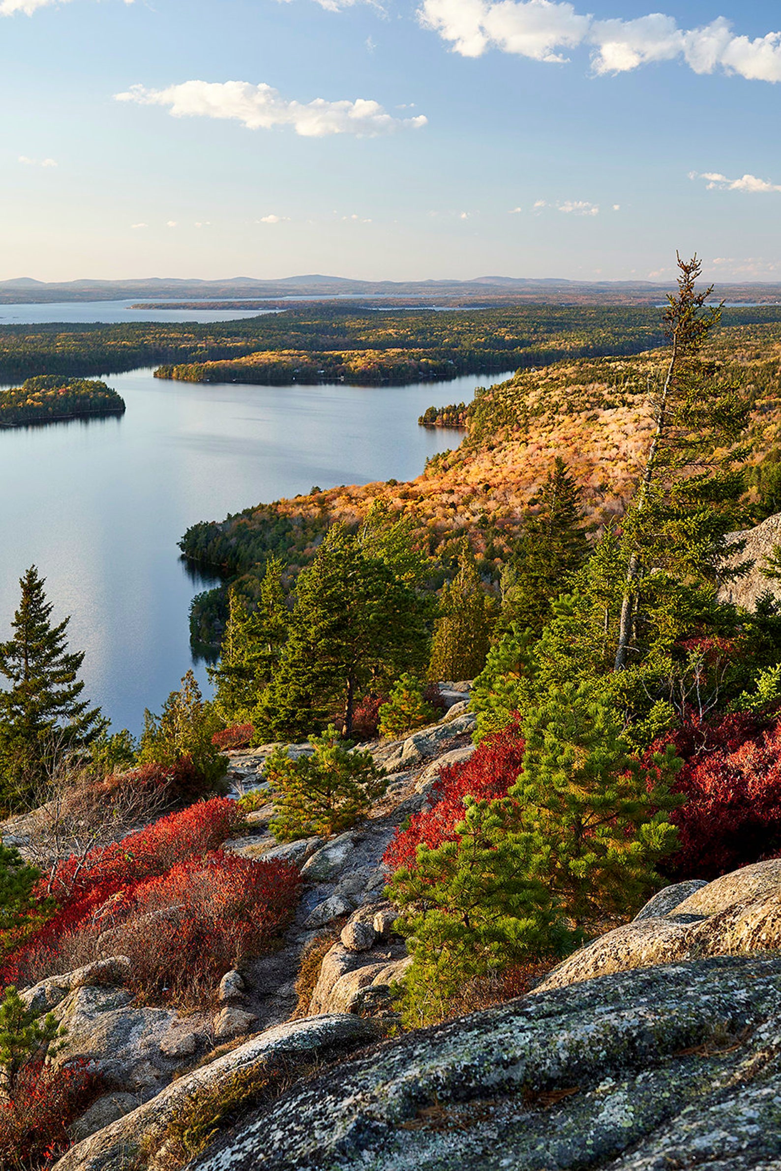 Acadia National Park Photography Fall Foliage Fall Colors Etsy France