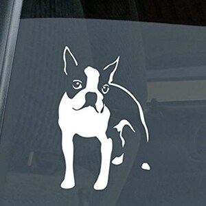 Boston Terrier Standing | Decal Vinyl Sticker| windows, cars, trucks, tool boxes, laptops, MacBook - any hard, smooth surface