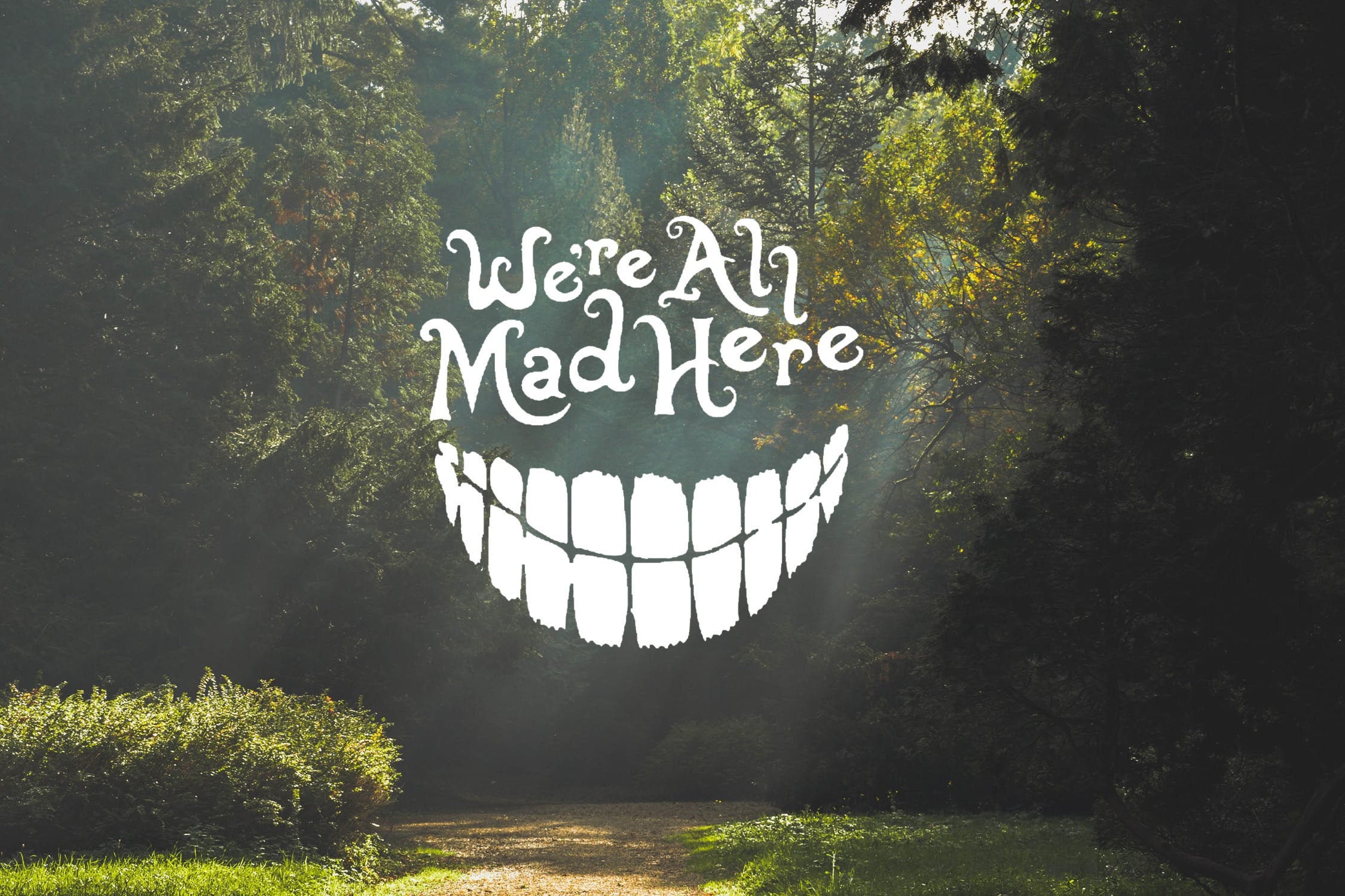 Were All Mad Here Art Print by Kaylibella  Were all mad here Winter  wonderland wallpaper Disney phone wallpaper