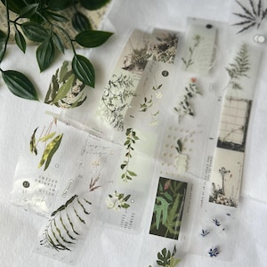 Somesortoffern | Days with leaves PET tape SAMPLE | 100 cm loop