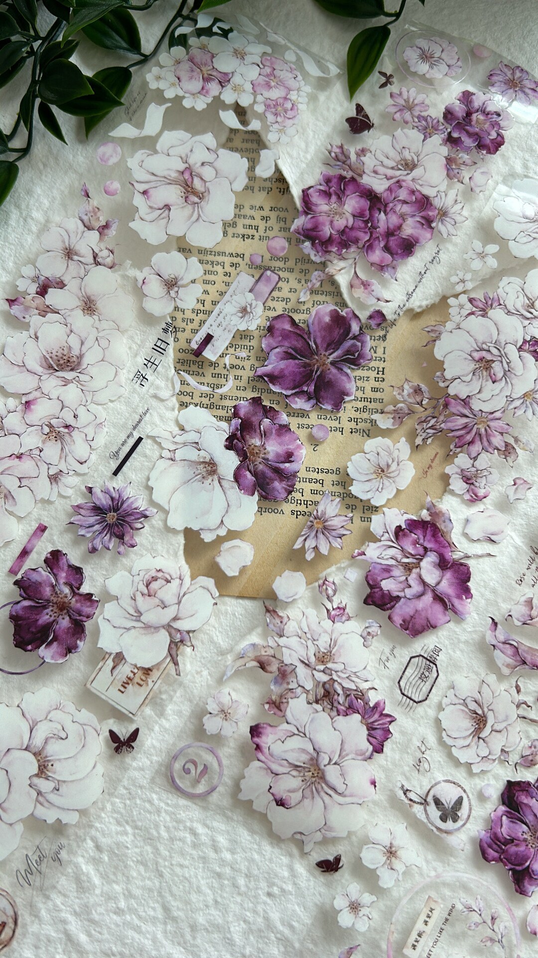 Xiaobaijia Studio Vintage Rose Blossom PET Tape SAMPLE | 120 Cm Barrel ...