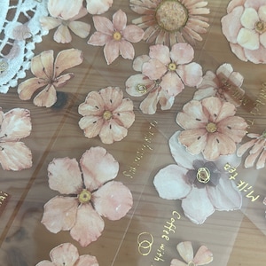 Fairy Maru Milk Tea PET tape samplr | 110 cm loop | scrapbook journaling bullet journal stationery