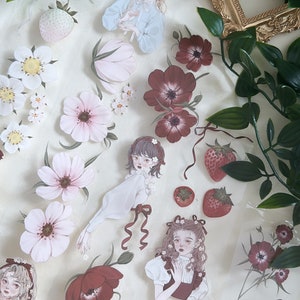 Campione di nastro PET vintage strawberry girl