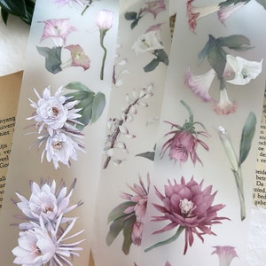 Loi Design | Epiphyllum PET tape SAMPLE