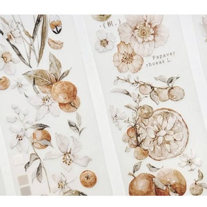Freckles Tea – Vol. 3 Tangerine Trifoliate PET tape sample | 100 cm loop | scrapbook junkjournal creative journal supplies