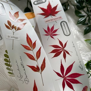 Autumn Overture Pet-Tape-Beispiel