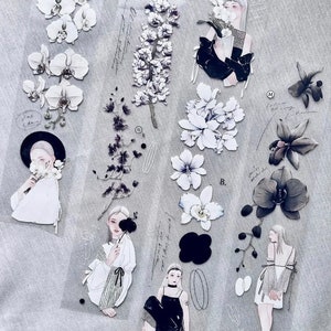 Somesortof.fern  X Loi Design Miss Orchid PET tape SAMPLE | 90 cm loop