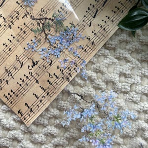 Tree branches with blue flowers PET tape SAMPLE | 70 cm loop