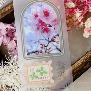 Road to Sakura Tree Blossoms PET tape SAMPLE | 100 cm loop