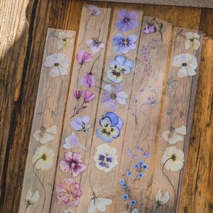 London Gifties | Cheerful light meadow PET tape sample | 120 cm loop | scrapbook junkjournal collage diy stationery