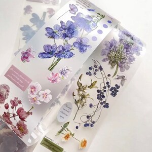 Amostra de fita PET de plantas vintage | Barril de 100 cm | scrapbook lixo diário papelaria